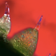 Illustration for article titled Feast your eyes on some of the best scientific art from the past year